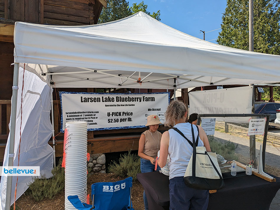 Larsen Lake Blueberry Farm at Lake Hills | Bellevue.com