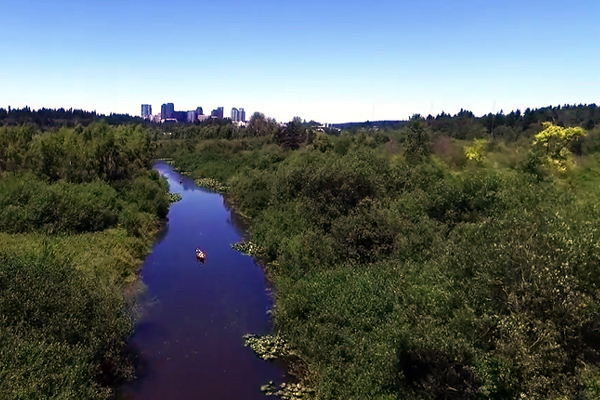 Flying over Mercer Slough Nature Park with DJI Inspire 1 drone | Bellevue.com