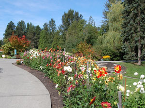 Bellevue Botanical Garden - Bellevue Attractions, Events & Happenings