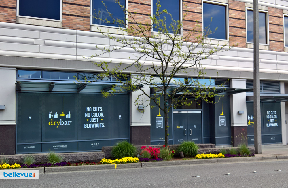 Dry Bar Bellevue