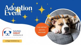 Dog for adoption - Aristella BR 13140-T. LOCAL Adoption Event in Bellevue  03/22 & 03/23, a Labrador Retriever in Burlington, WA