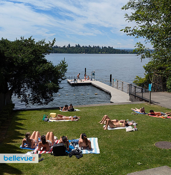 Bellevue.com
